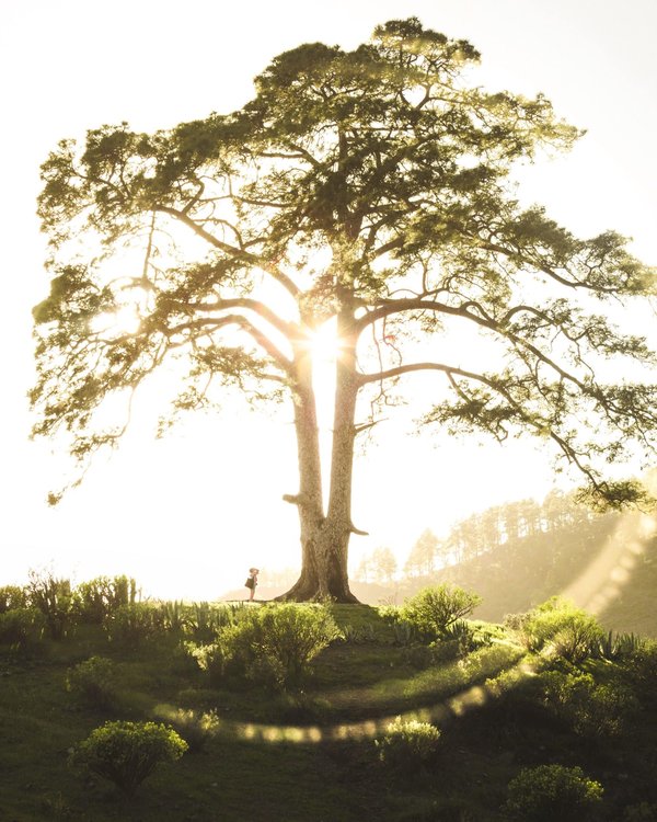 les acteurs qui ont marqué l'histoire du cinéma